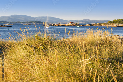 Dune vegetation on Arousa Island