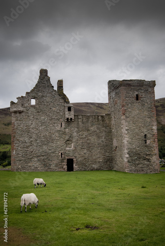 le pecore del castello