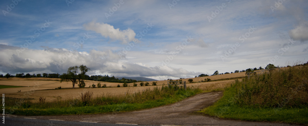 gran panorama #1