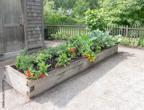 Raised bed in Community Garden