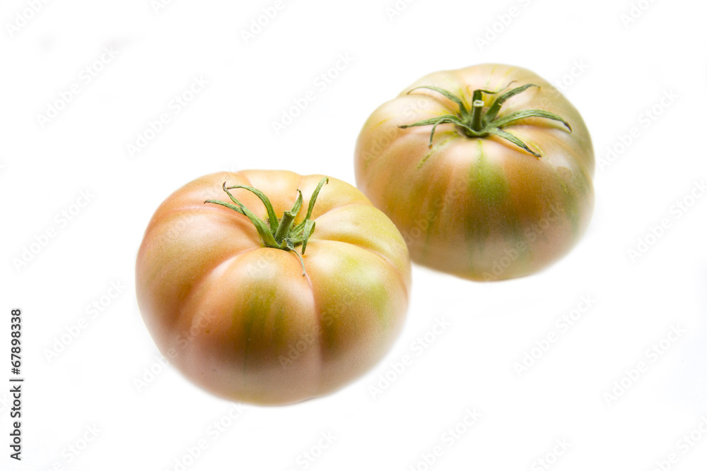 Brown unripe tomatoes on white background Brown unripe tomatoes on white background