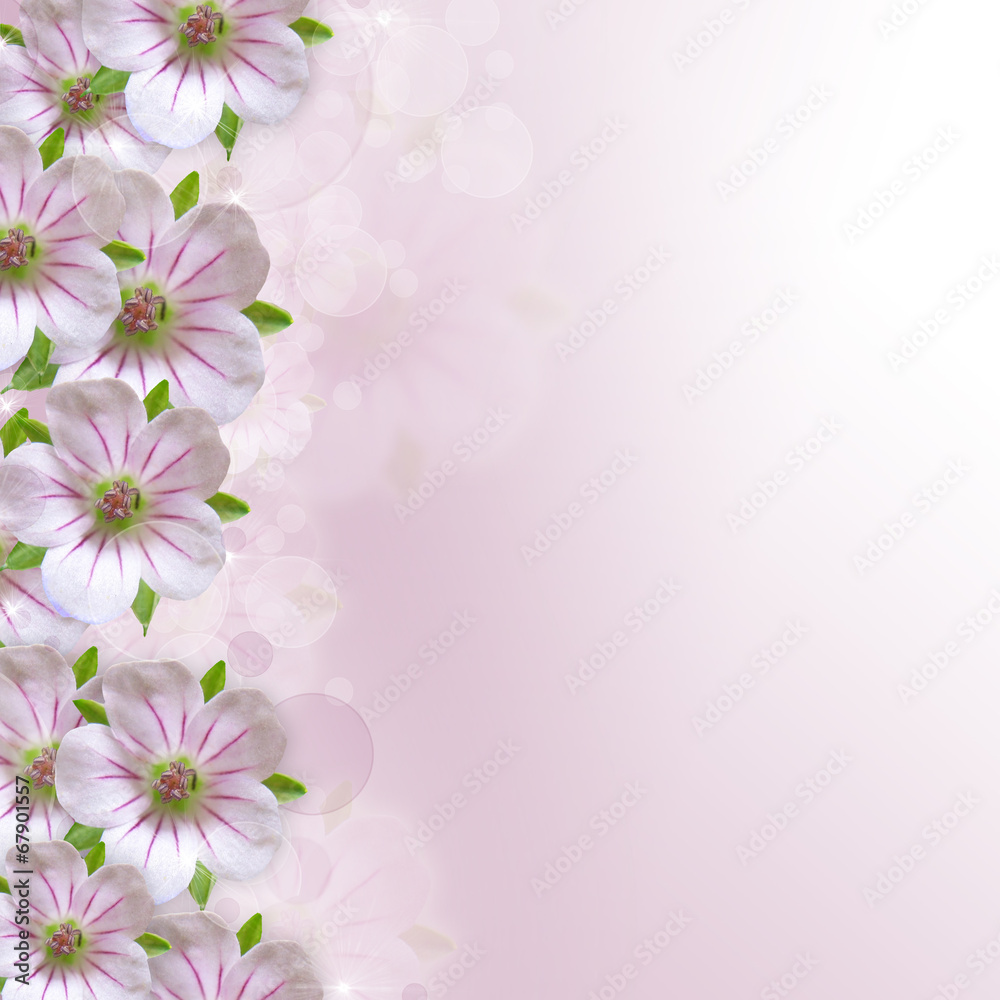 Border of white - pink  flower  on  purple - white background