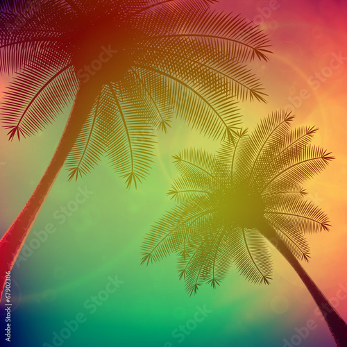 Palm trees with beautiful sunset.