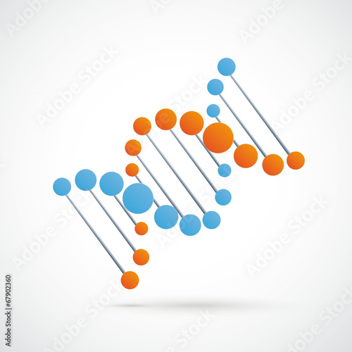 DNA