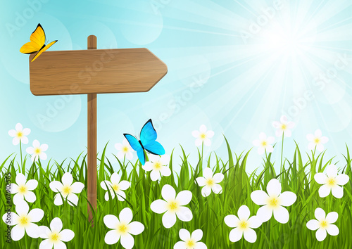 Sunny meadow with wooden signboard