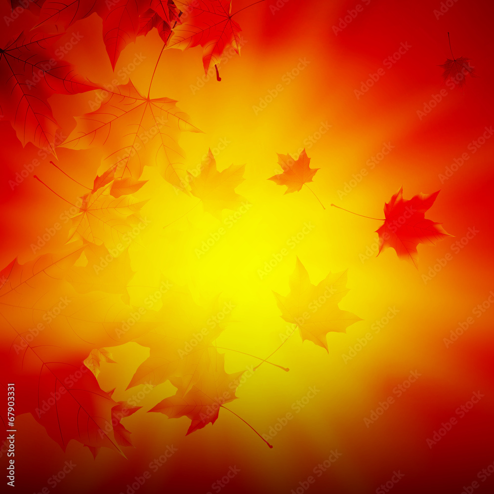 Delicate autumn sun with glare on gold sky. - obrazy, fototapety, plakaty 