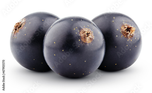 Black currant berry isolated on white with clipping path