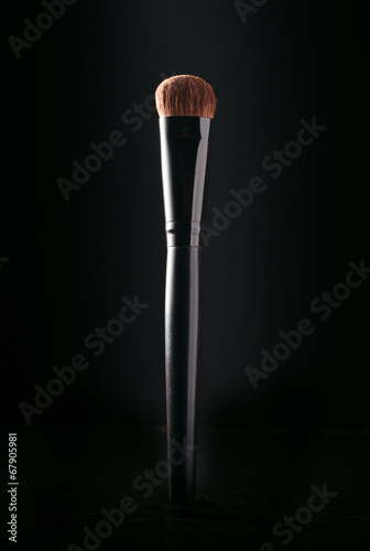 Cosmetics applicator brush