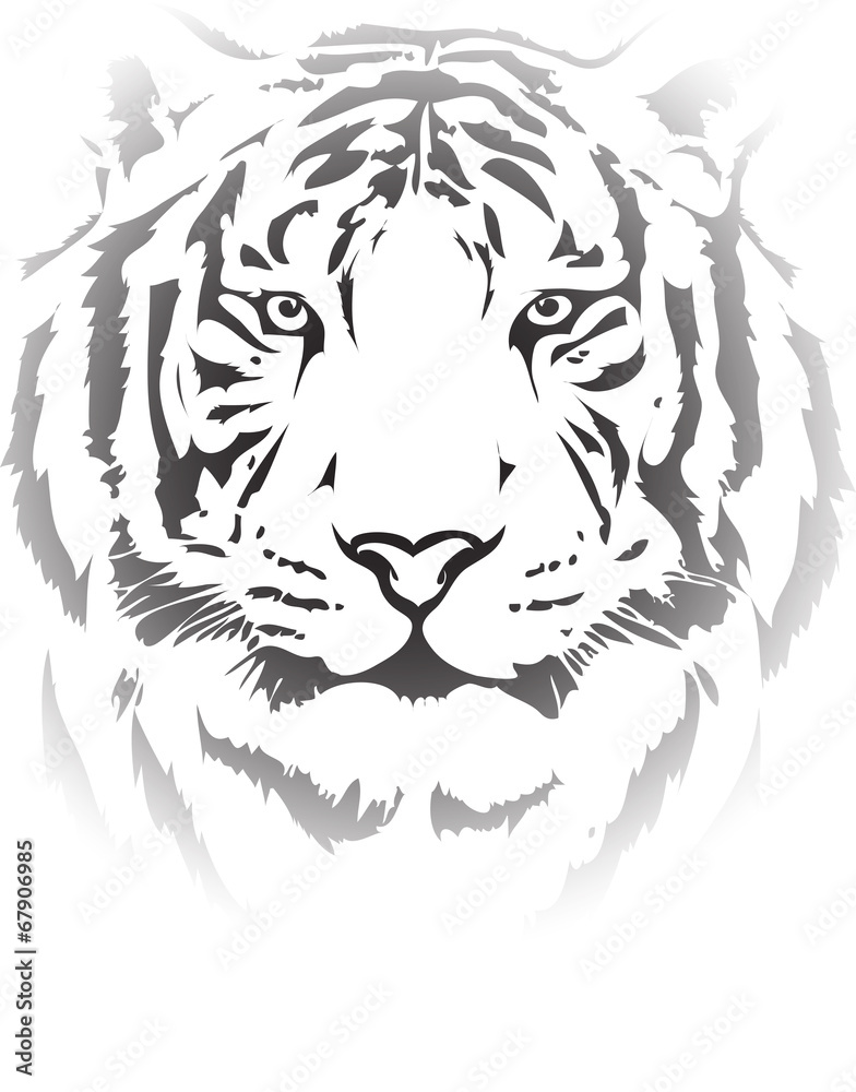 Obraz premium tiger head in black interpretation 4