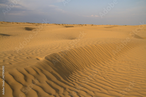 sandy desert spring day in Kalmykia