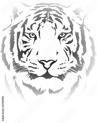 Fototapeta Naklejka Na Ścianę i Meble -  tiger head in black interpretation 4