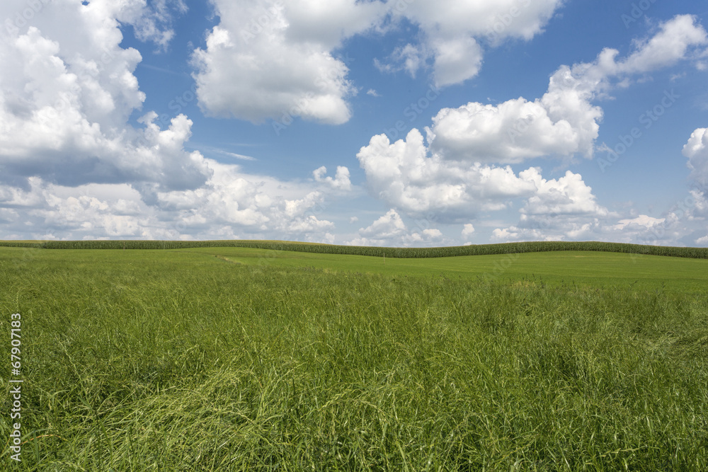 Wiese und Felder mit Sommerhimmel, Bayern Wiese und Felder mit Sommerhimmel, Bayern