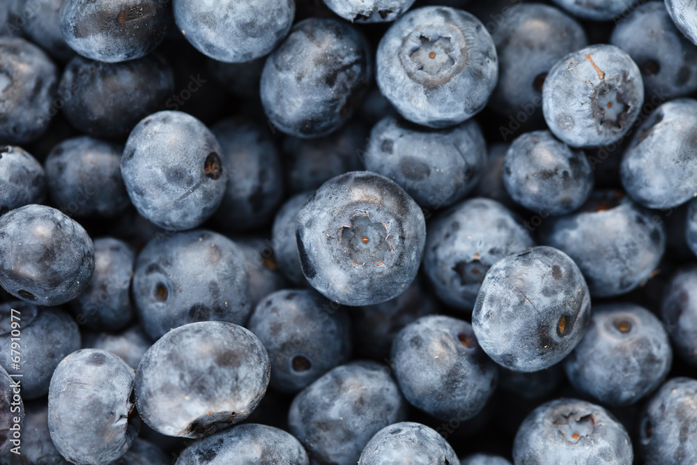 fresh blueberry fresh blueberry