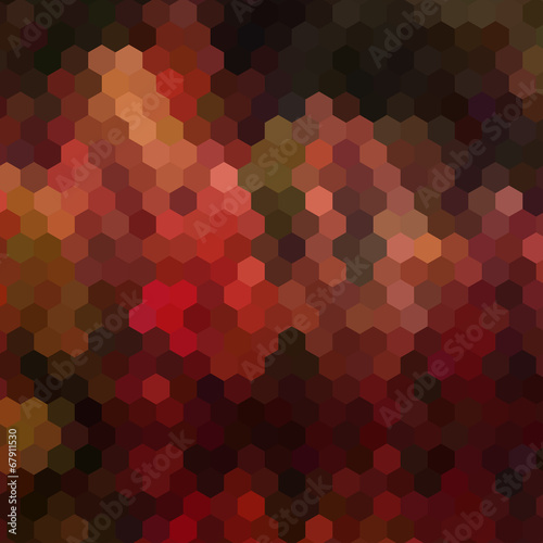 autumn forest colored vector