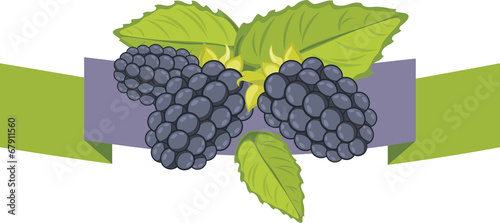 Blackberry. Label for design