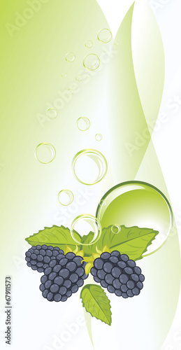 Blackberry and bubbles on the abstract background