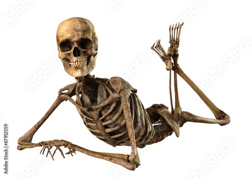 human skeleton with detailed anatomy organs