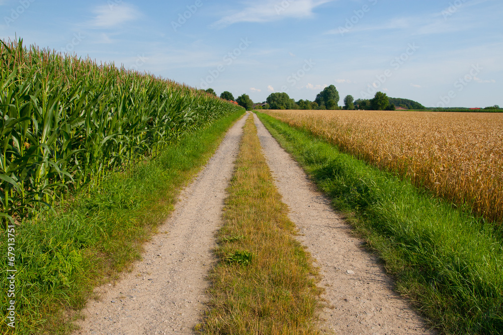Feldweg Hochformat Feldweg Hochformat