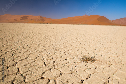 Dans le désert du Namib en Namibie