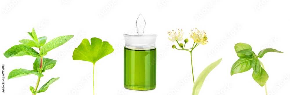 Collage of medicine bottle and herbs, isolated on white Collage of medicine bottle and herbs, isolated on white
