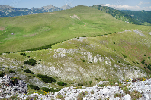 Limestone ridge, Iorgovanului cliff in Retezat mountain, Romania photo