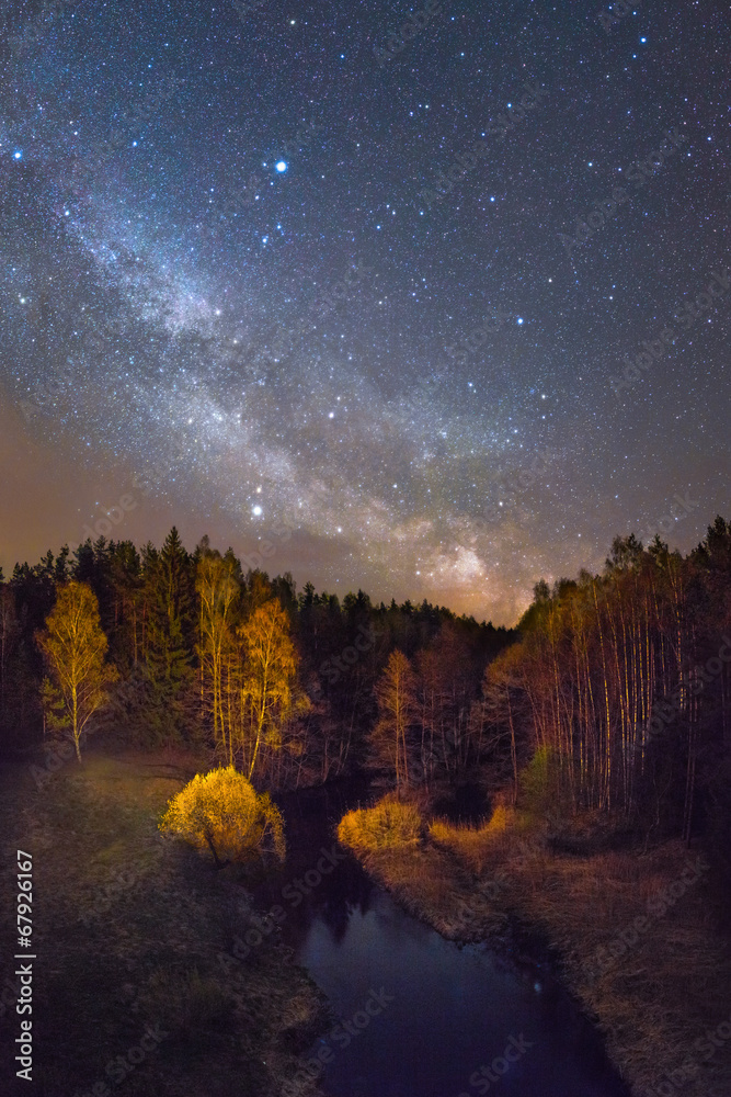 starry night over a small forest river