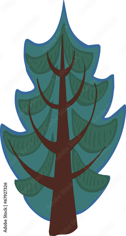 Illustration of conifer tree. Isolated