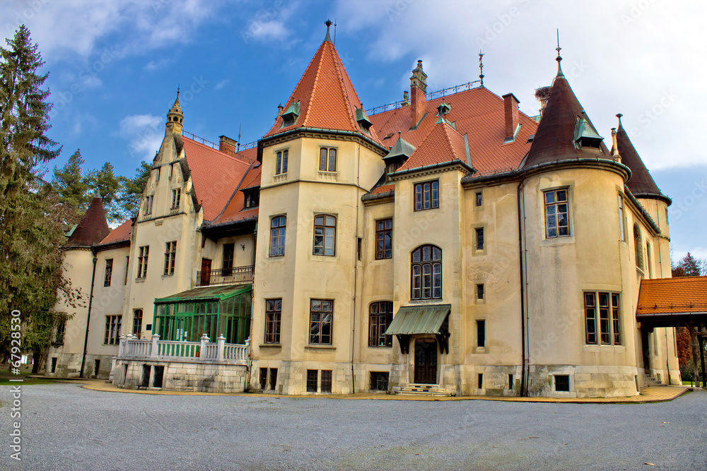 Donji Miholjac castle in nature