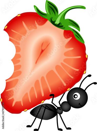 Ant Carrying Strawberry Sliced