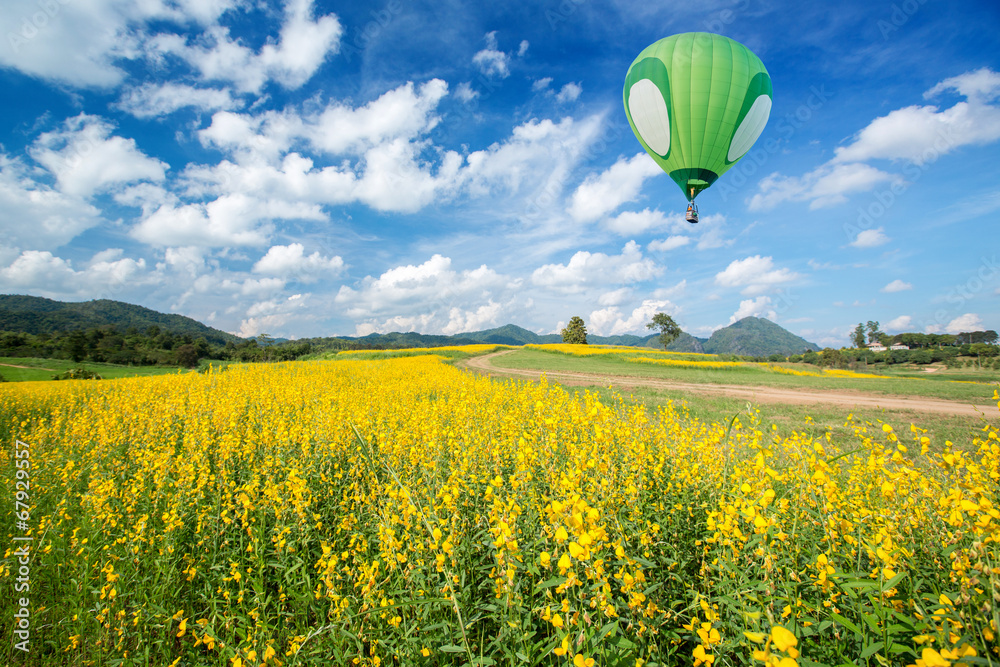 Naklejka premium Green hot air balloon over yellow flower fields with blue sky ba
