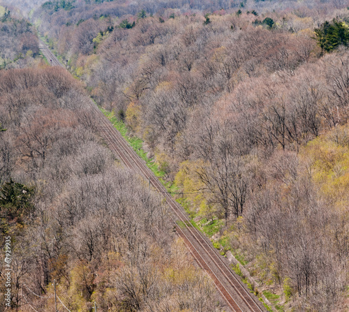 Pair of straight train tracks in forest.