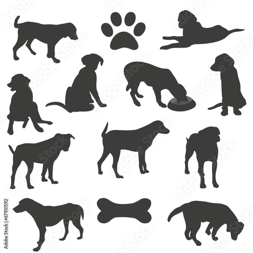Black silhouettes of dogs