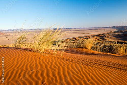 Coucher de soleil sur la dune Elim en Namibie photo