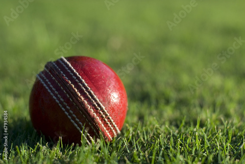 Red cricket ball on green grass © Stephen Gibson