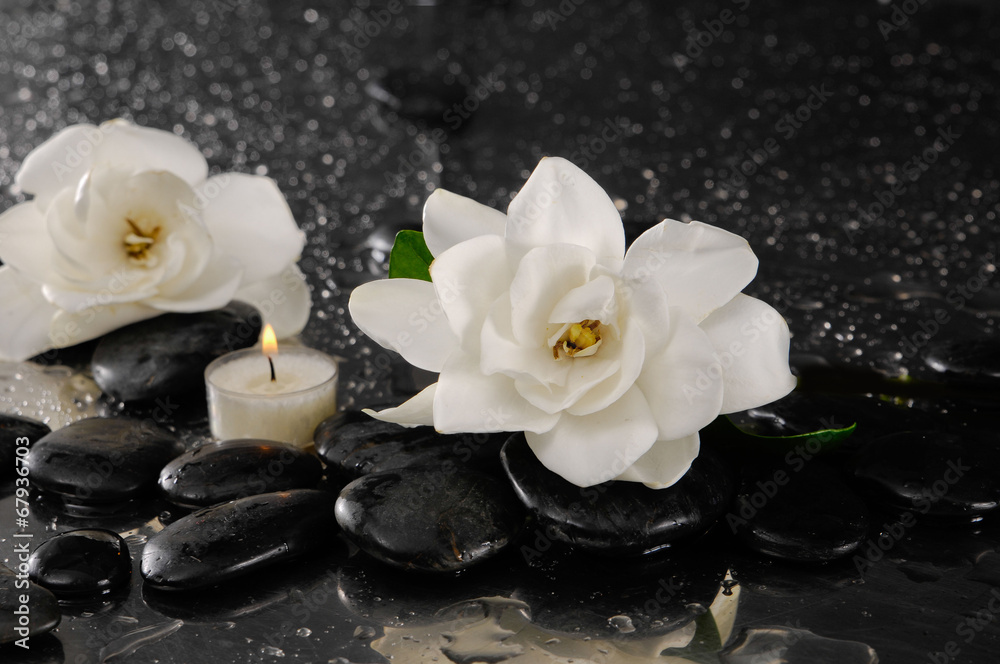 Two gardenia flower and candle on pebbles Two gardenia flower and candle on pebbles