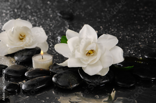 Two gardenia flower and candle on pebbles