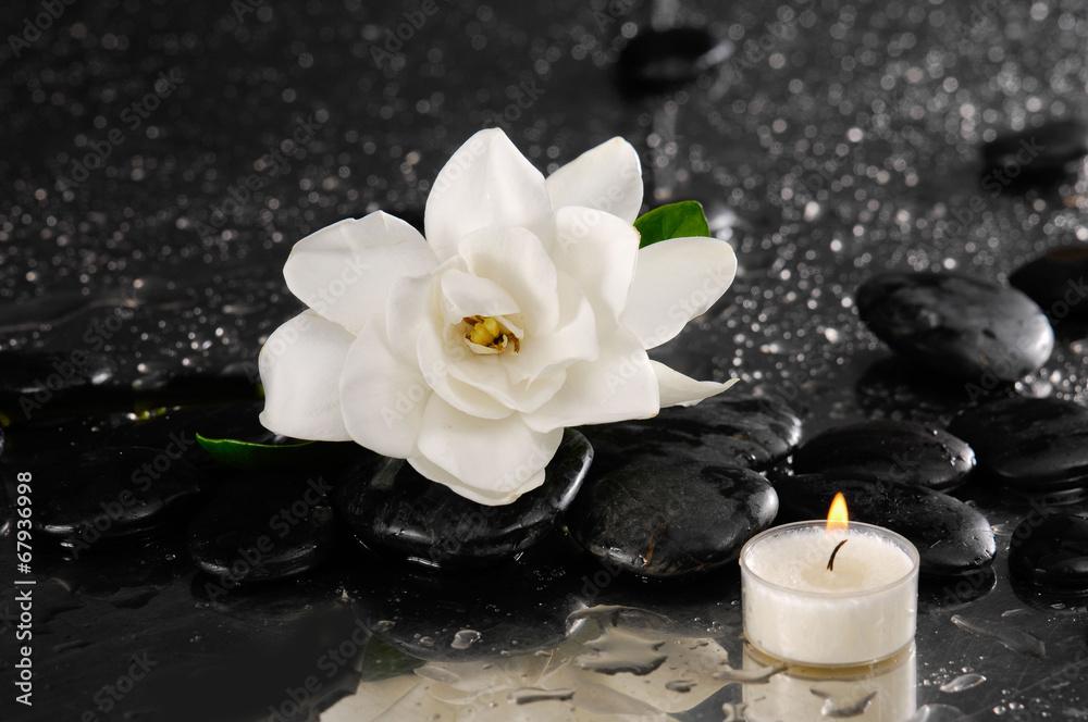gardenia and candle on pebbles –wet background gardenia and candle on pebbles –wet background
