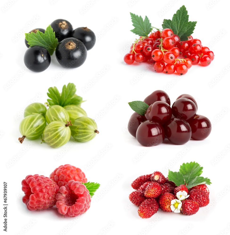 Berries Berries
