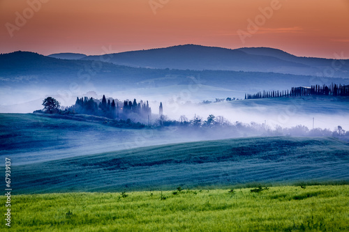Farm of olive groves and vineyards in foggy sunrise © shaiith