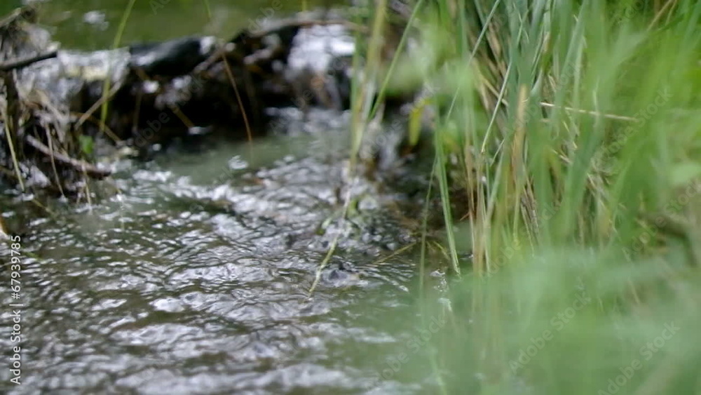 The wood stream to a grass flows 2. The wood stream to a grass flows 2.