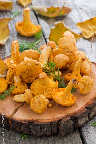 fresh chanterelle mushrooms on a wooden background, vertical