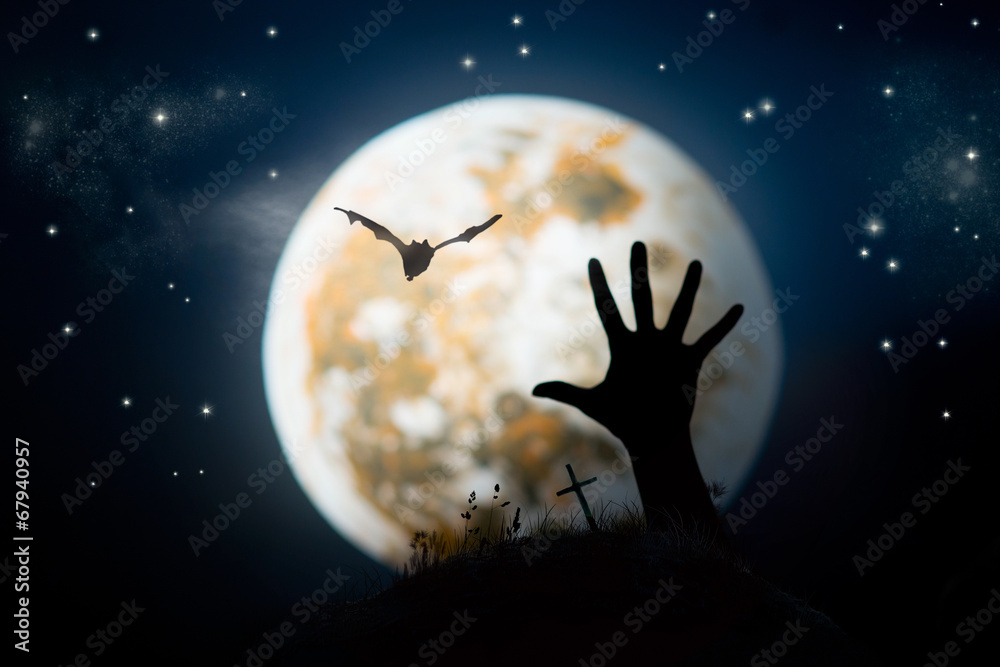 Halloween Halloween