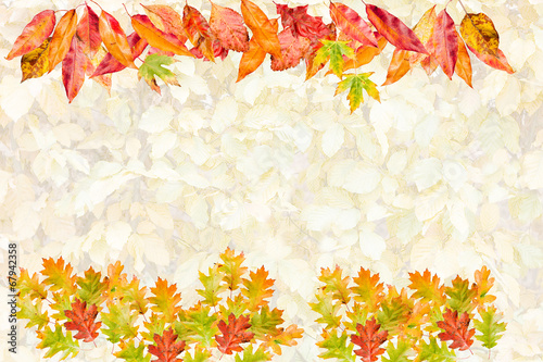  Card with collection of colorful autumn leaves
