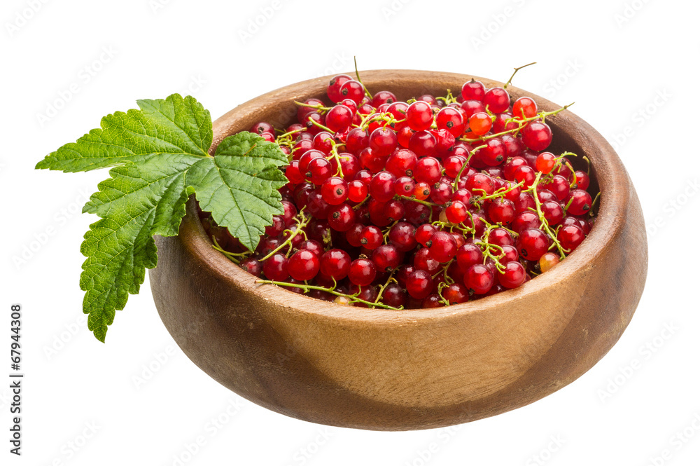 Red currant