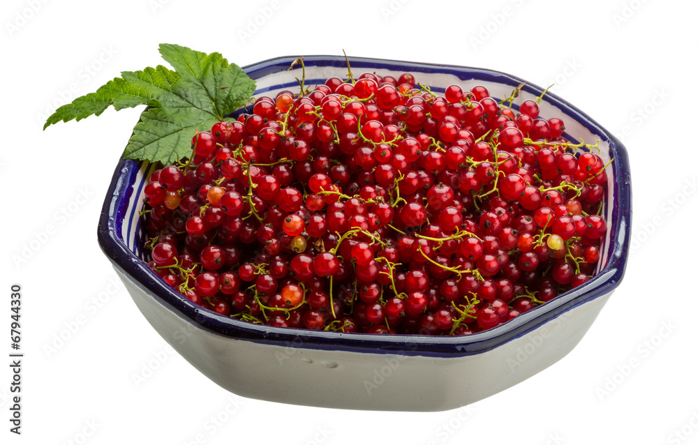 Red currant Red currant