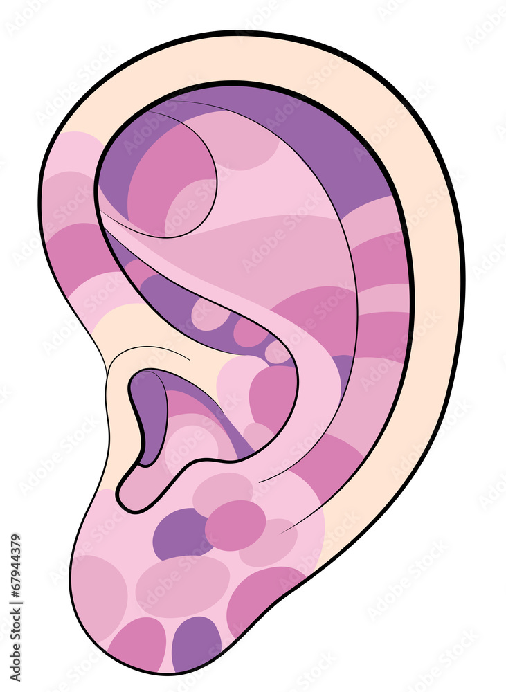 Ear reflexology areas pink Ear reflexology areas pink