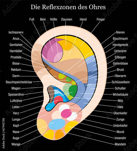 Ear reflexology german description black