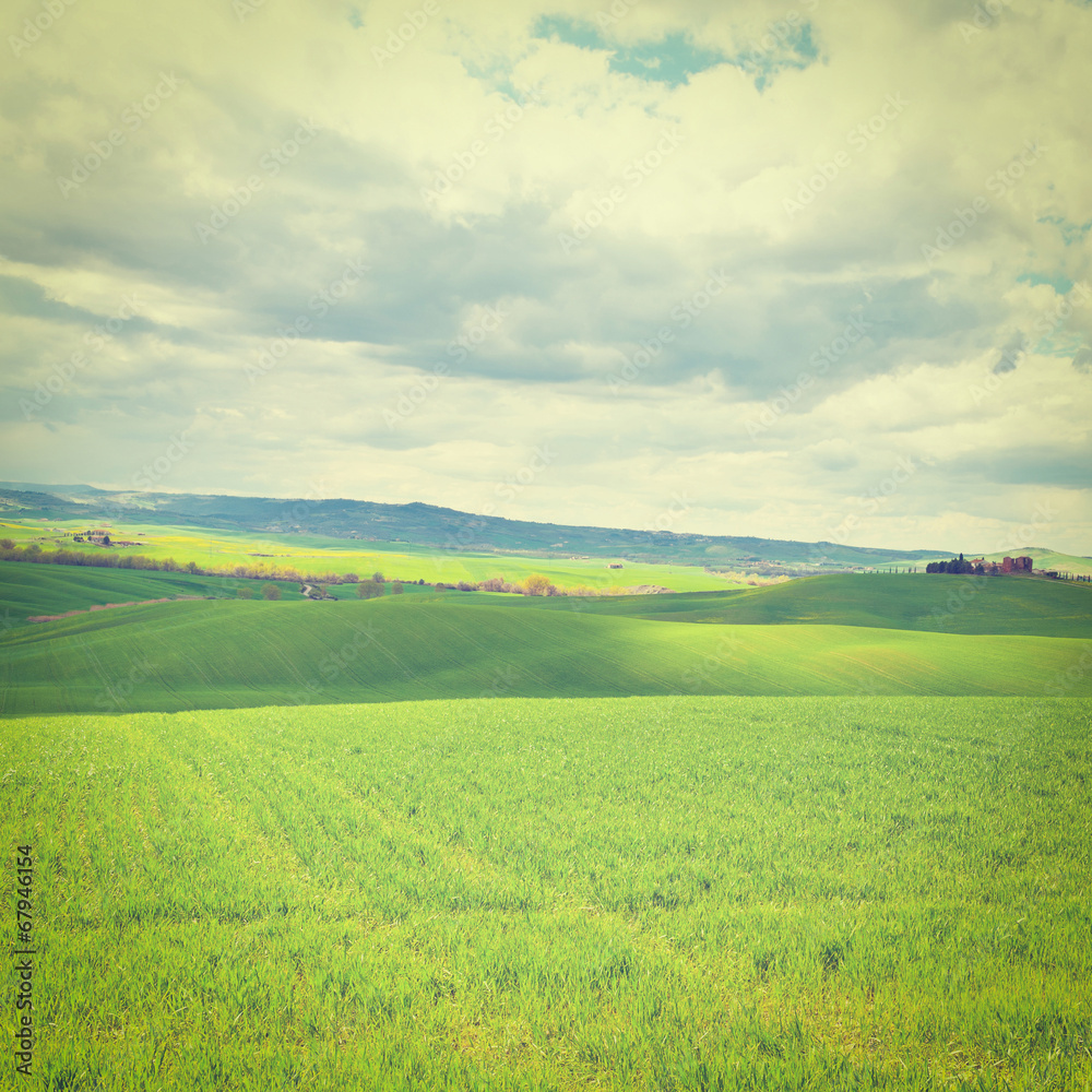 Obraz premium Meadows of Tuscany