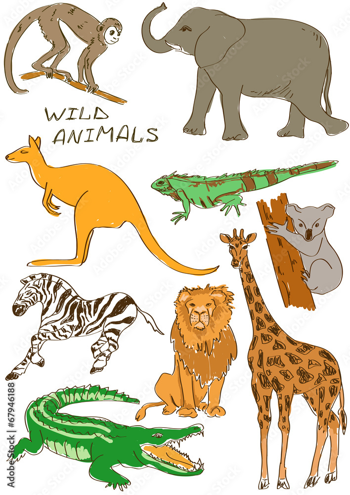 Naklejka premium Set of isolated wild animals