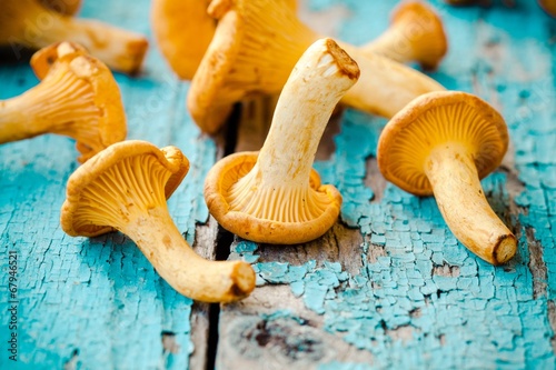 fresh chanterelle mushrooms on a wooden background